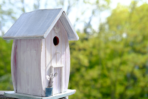 white painted birdhouse is ready for the new spring season, a house against the background of spring green foliage of trees, concept of bird housewarming, helping animals, basis for designer