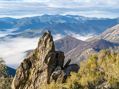 Mountain landscape with sky and clouds. Summer sunny day in the mountains. The nature of Siberia. Russia. Banner with a mountain landscape.