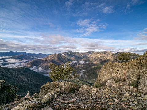 The Sierra de Ancares is a mountain range in Spain, extending in a south-westerly direction from the western end of the Cantabrian Mountains, in Asturias.