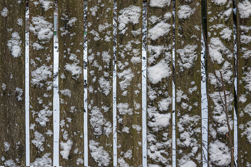 Close-up of an old fence made of wooden planks. Picturesque flakes of snow stuck to the surface of the slats. Background.