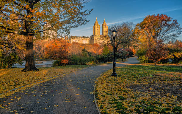 istock Autumn in Central Park 1940498480