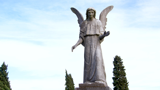 Angel statue with cypresses and sky in the background in a cemetery