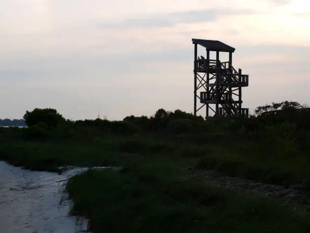 Observation tower in a natural area of North Florida in a winter day.