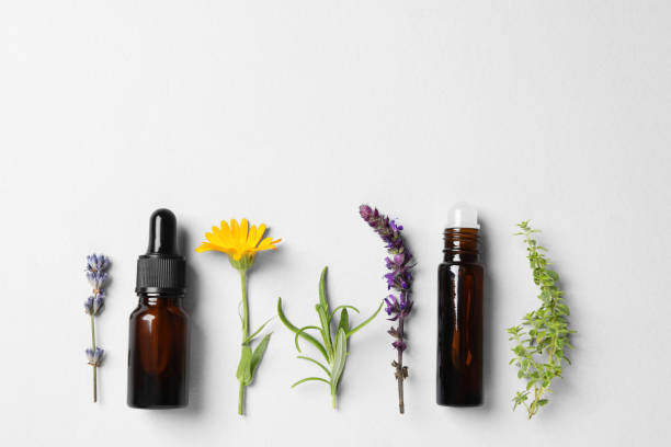 istock Bottles of essential oils, different herbs and flowers on white background, flat lay. Space for text 1940596055