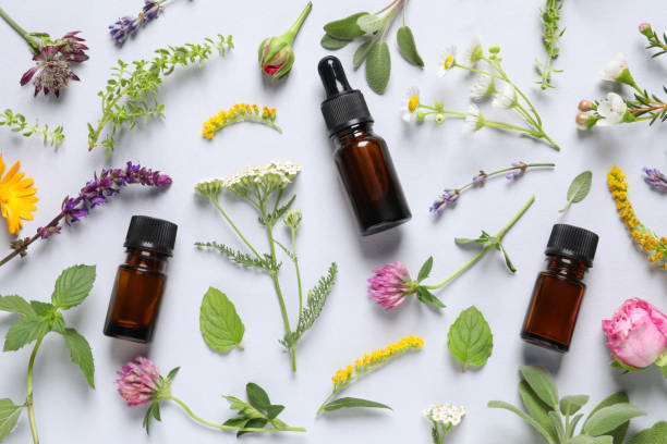istock Bottles of essential oils, different herbs and flowers on white background, flat lay 1940599294