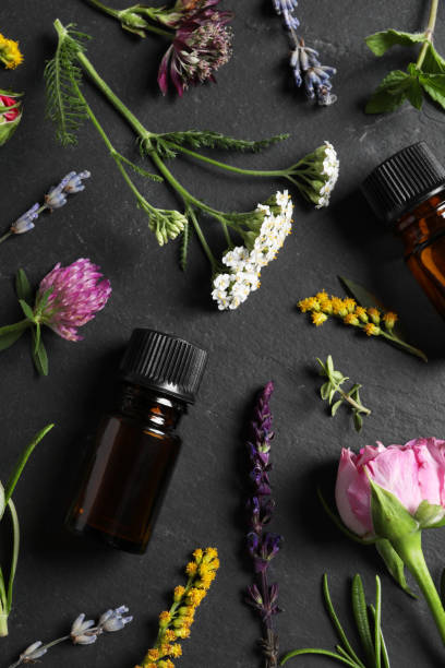 istock Bottles of essential oils, different herbs and flowers on black table, flat lay 1940616165