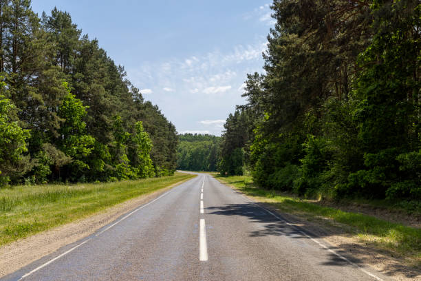 istock paved road with trees in the forest in sunny weather 1940719410