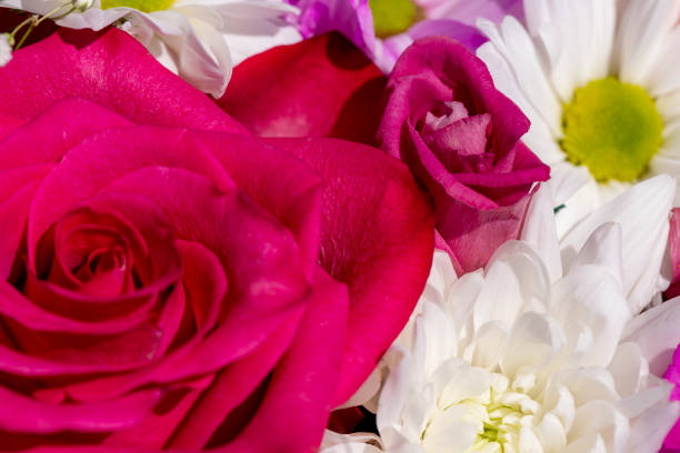 istock a beautiful bouquet combined with different flowers 1940719703