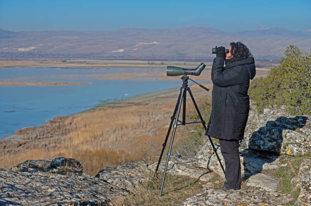 istock A woman birdwatching with binoculars. 1940792106