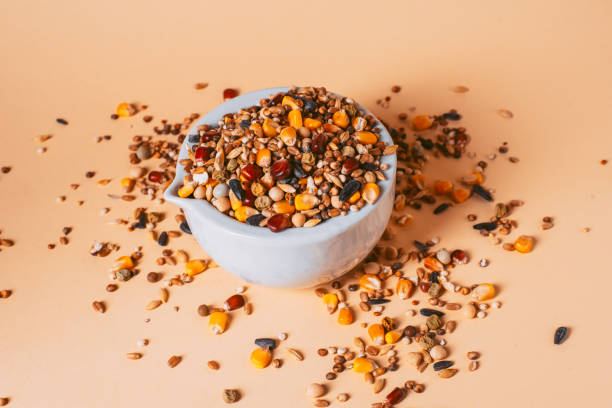 istock Feed for birds in the bowl. Assorted bird seed, feed for racing pigeons. 1940805177