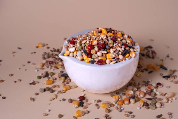 istock Feed for birds in the bowl. Assorted bird seed, feed for racing pigeons. 1940805183
