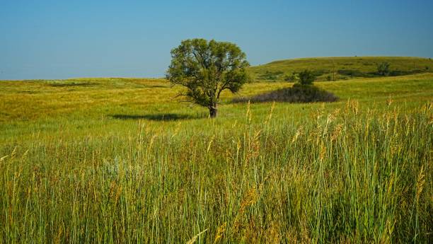 istock Lucas Park Recreation Area Kansas 1940864801