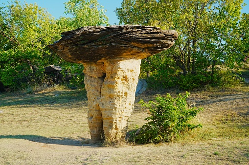 Mushroom State Park Kansas