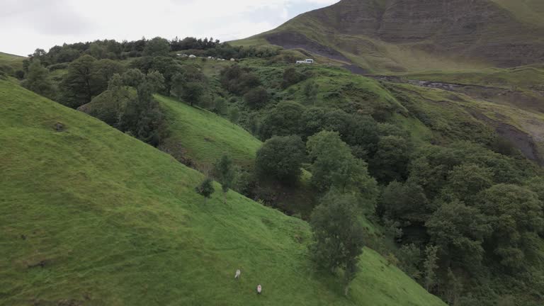 Evergreen Hilly Landscape On Peak District National Park In Central England. Aerial Drone Shot