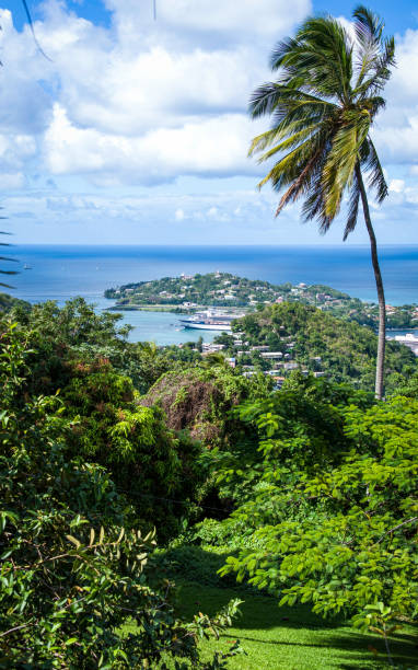 istock View of Castries, Saint Lucia 1940931298