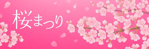 Vector illustration of Beautiful cherry blossom banner material (3:1)
