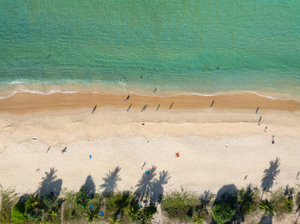 istock Top view beach with waves crashing on sandy shore,Beautiful waves sea surface in summer seascape background,Amazing beach colorful water background 1940949854