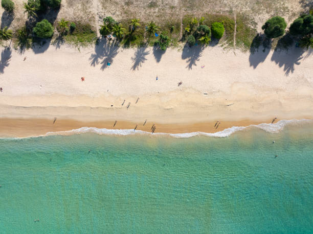 istock Top view beach with waves crashing on sandy shore,Beautiful waves sea surface in summer seascape background,Amazing beach colorful water background 1940949855