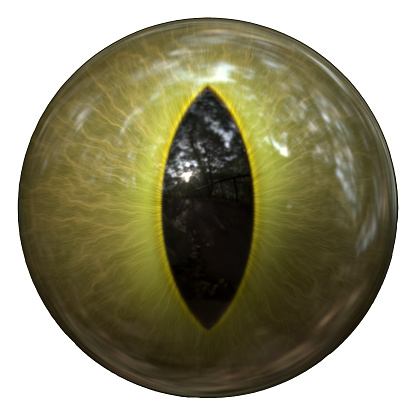 Macro close-up of a female human eye
