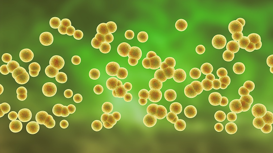 Colony of Staphylococcus aureus bacteria, multidrug resistant bacteria. 3D illustration