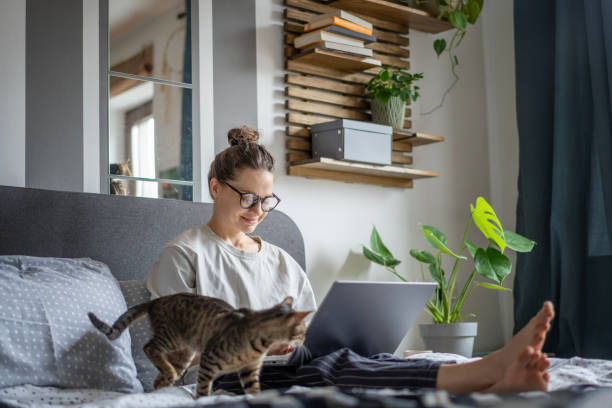 istock Young woman with cute gray kitten working on a project using laptop in bed at home 1941016405