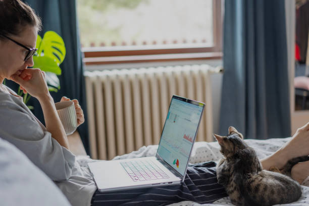 istock Young woman with cute gray kitten working on a project using laptop in bed at home 1941018944