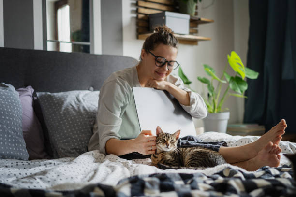 istock Young woman with cute gray kitten working on a project using laptop in bed at home 1941019955