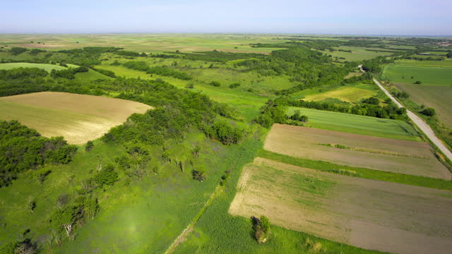 Aerial view of agricultural fields and woods in plain countryside in sunny day