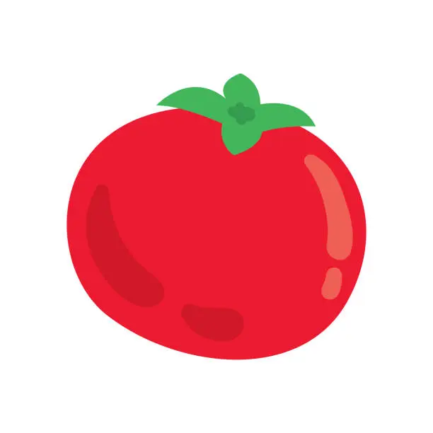 Vector illustration of Vector cartoon fresh red tomato vector hand drawn illustration isolated