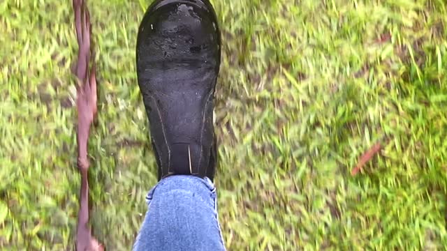 Walking on Wet Grass