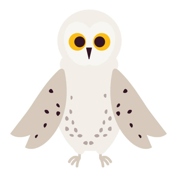 artics animals - owl snowy owl snow isolated stock illustrations