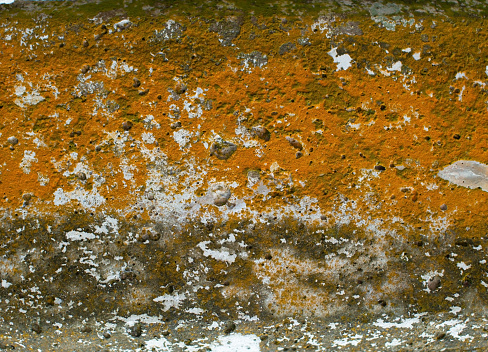 The concrete surface is stained with moss. island yellow green water