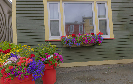 Colourful flowers in pots and filling a window box.