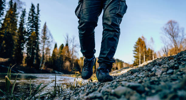istock Hiker man walking in the wild 1941192426