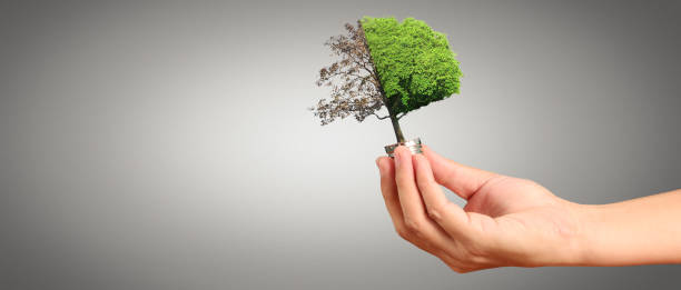 istock Humans hold light bulbs in hand innovative technology 1941215405
