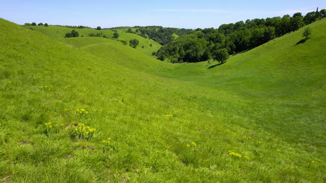 Drone flies just above grass in lush green meadow in a valley of rolling hills