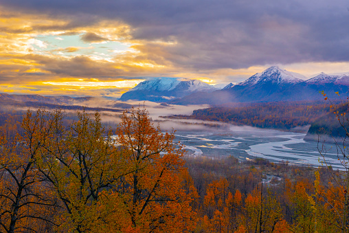 a foggy morning in the Alaska river valley