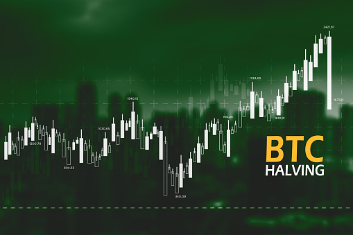 Price of bitcoin is increasing in the cryptocurrency market after bitcoin halving event