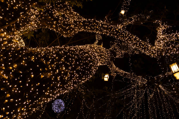 istock Decorative outdoor string lights hanging on tree in the garden at night time - decorative Christmas lights - happy new year 1941291189