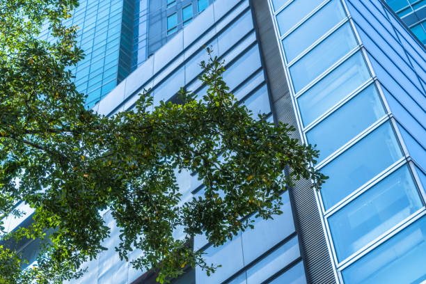 istock modern office building with green leaves 1941294965