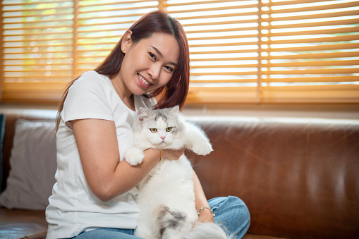 Middle age Asian woman tie hair with red ribbon standing beside window carrying white cat with smile and positive emotion in living room, pet curing depression disorder and healing activity in everyday life.