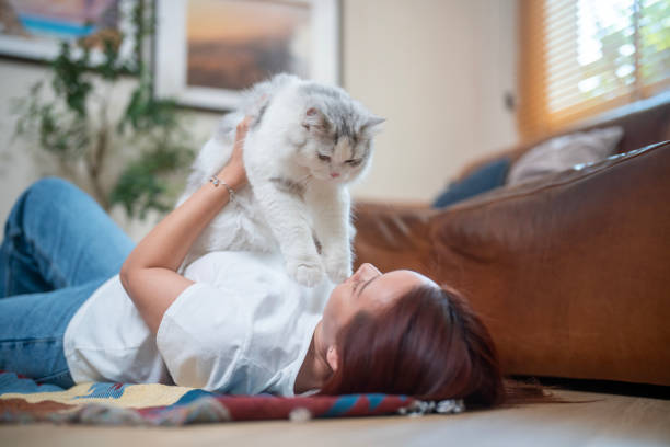 istock Young woman playing with cat on carpet at home. 1941309208