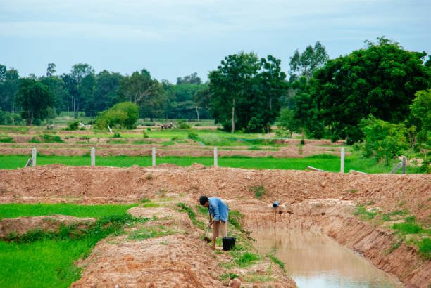 istock thai grandma doing agriculture 1941351066