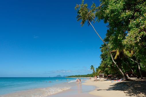 Martinique,Sainte-Anne - Novembre 23, 2023 : Tourists swimming and tanning on a sunny day at the beach of Grande Anse Des Salines, located on the southern part of Martinique