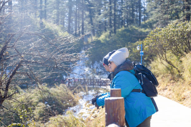 国立公園でリラックスした旅行に友達のグループ、人々と旅行 - people traveling journey group of people hiking ストックフォトと画像