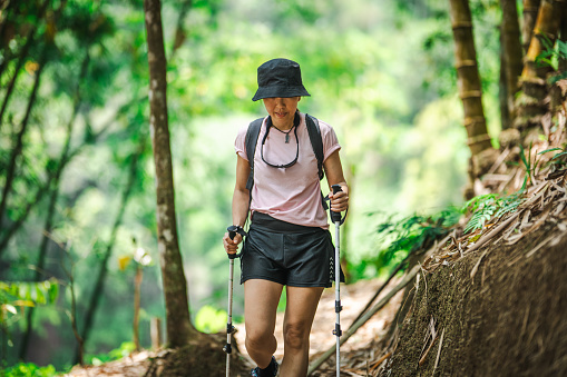 Mid adult Asian woman in the rain forest hiking with hiking poles. - Nature and wilderness hiking concept