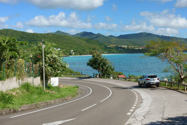 The famous Pallem allee l’Allée Dumanoir. Landscape shot from the middle of the street into the avenue. Taken on a changeable day.Grand Terre, Guadeloupe, Caribbean