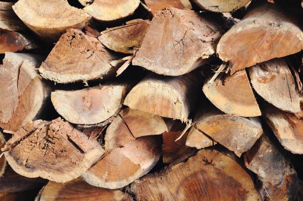 istock Background of cut logs close up 1941411453