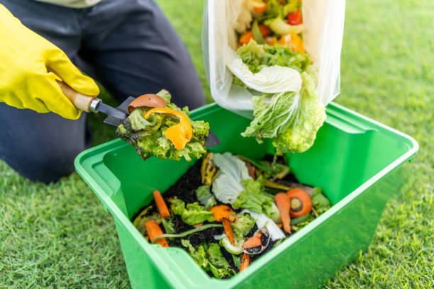 istock Ecology compost supply Kitchen waste recycling composter environmentally friendly. The young man throws leftover fruit peel egg shell and vegetables reduce waste 1941426770