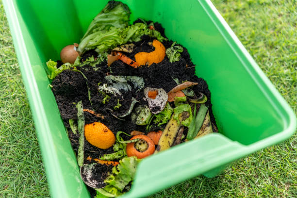 istock Ecology compost supply Kitchen waste recycling composter environmentally friendly. Fruit peel egg shell and vegetables reduce waste 1941427279